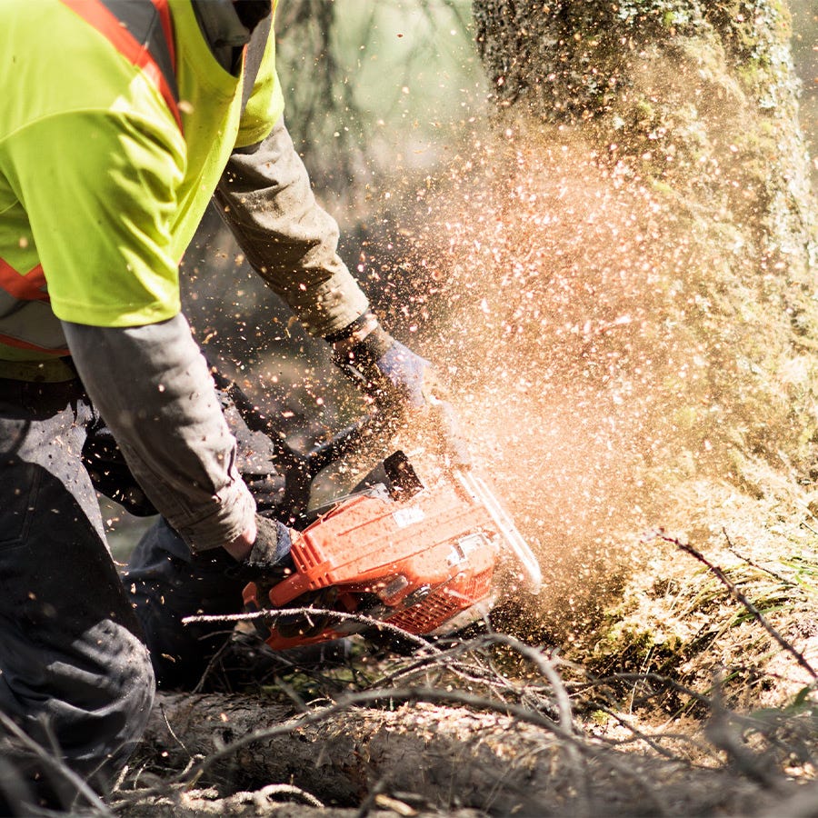 ストレングスモデル Husqvarna 572 XP Chainsaw - 24