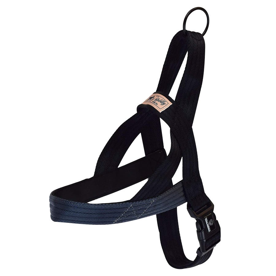 Collars&Leashes | North 40 Outfitters