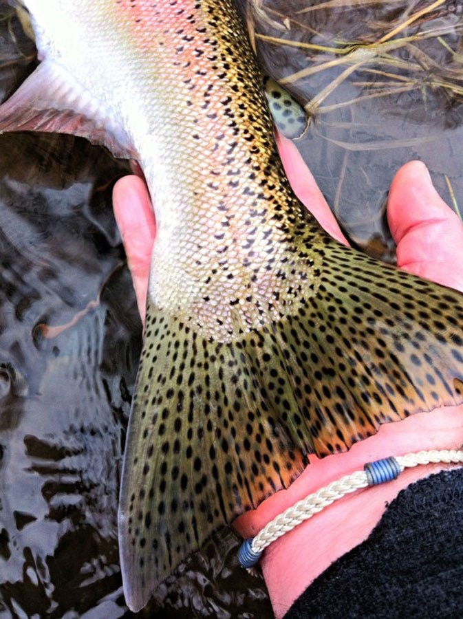 BlackfootLakes1