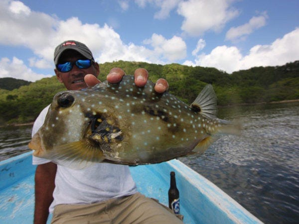 Honduras Fly-fishing Catch