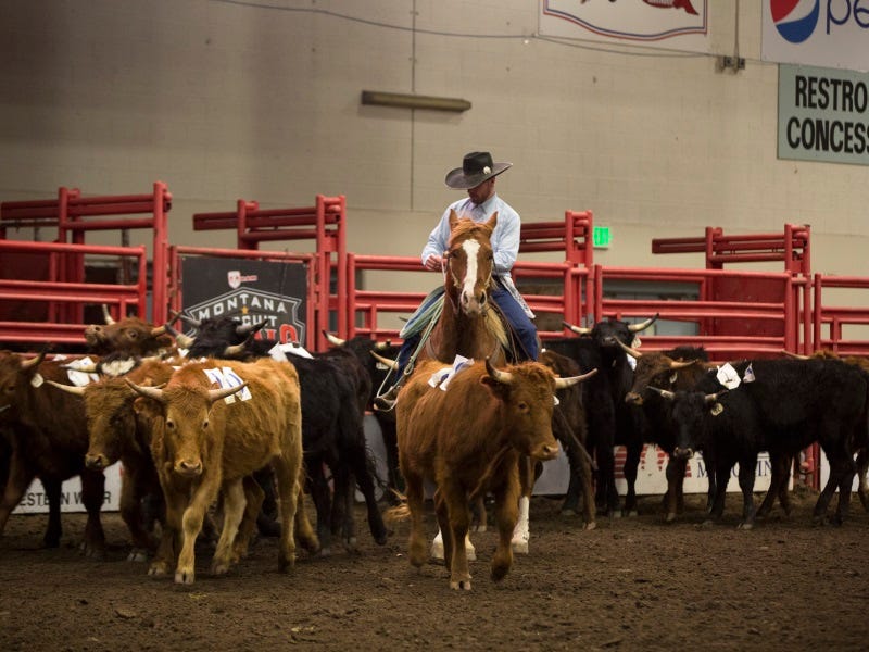 North 40 Ranch Rodeo, Great Falls, MT: Kids are 100% FREE w/ Exclusive Coupon