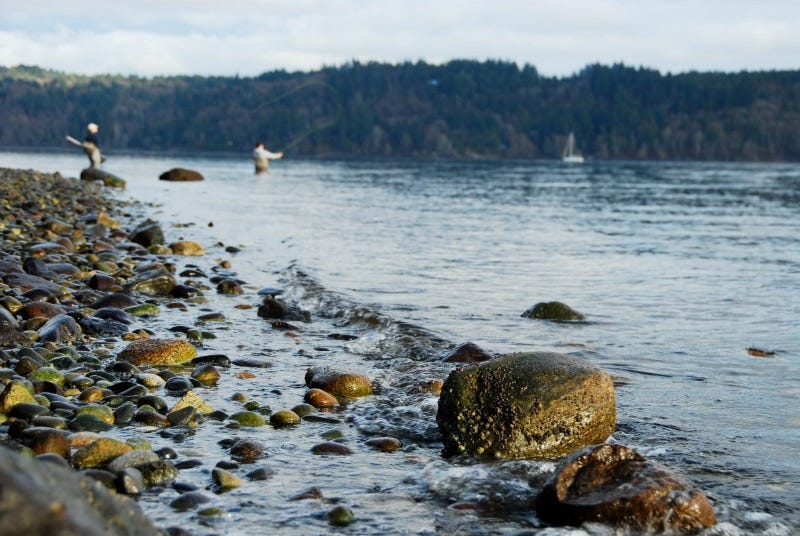 There are, literally, thousands of miles of public shorelines to wander in western Washington. The south sound is know for numbers; the north sound can dish out some tankers.