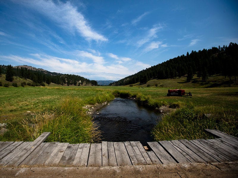 landscape_small-streams_001