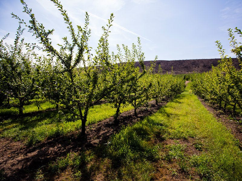 smallwoods-farm_e_8