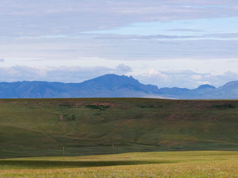logo_panorama1_crop
