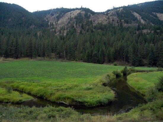 fishingsalmoncreek2