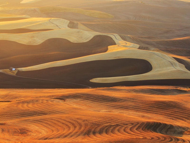steptoe-butte06