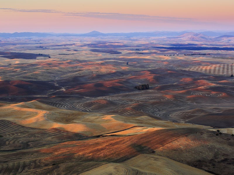 steptoe-butte11