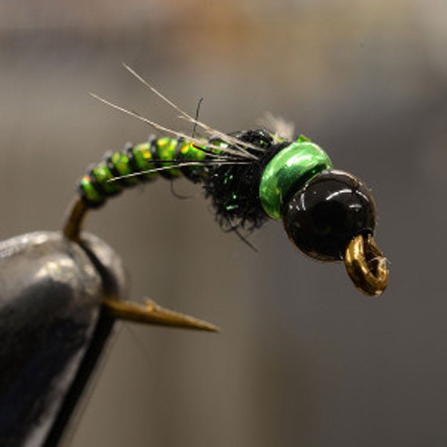 bugcollars1