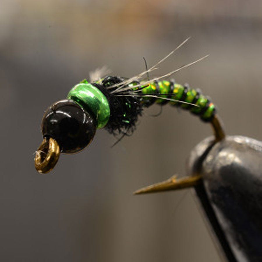 bugcollars3