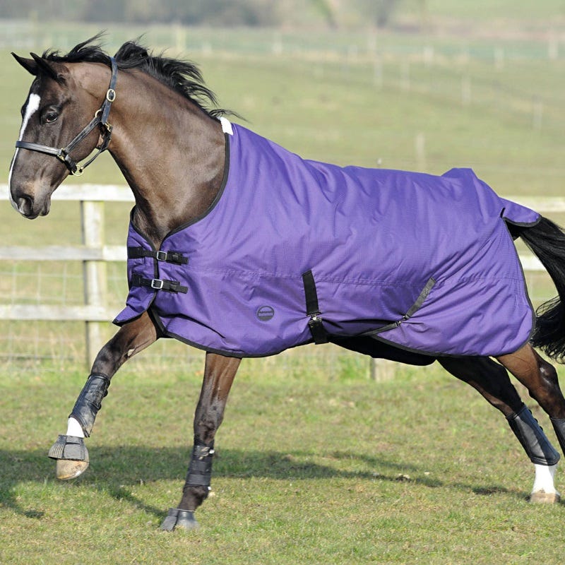 the right blanket for your horse