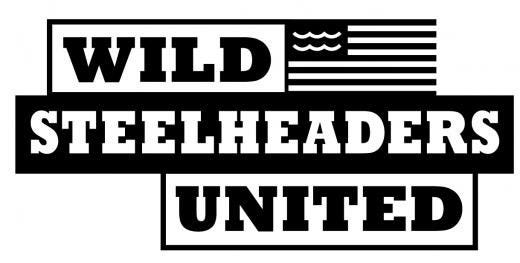 wildsteelheaders4