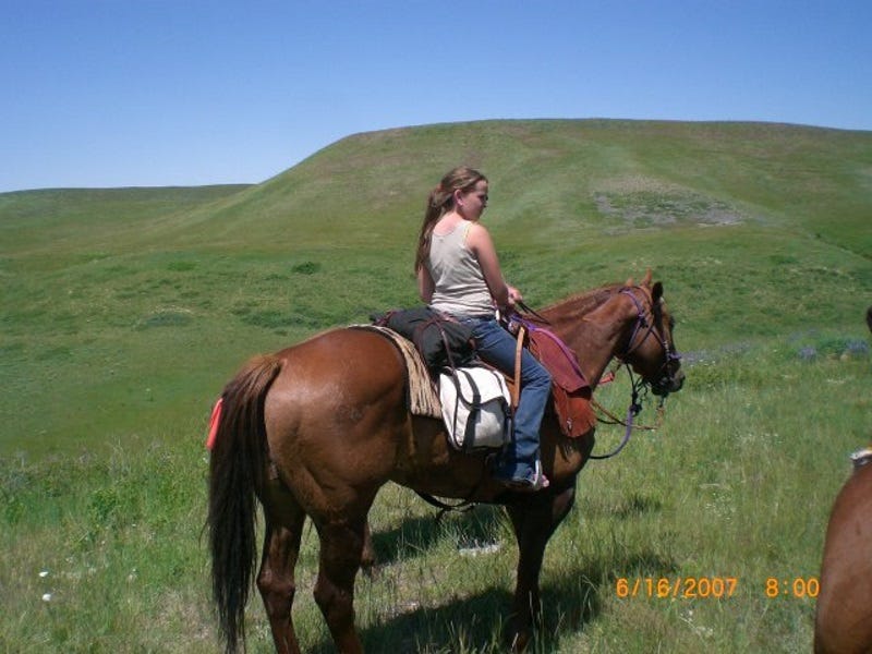 31 Mare Moods: A Review of Silver Lining Herbs Horse Supplement