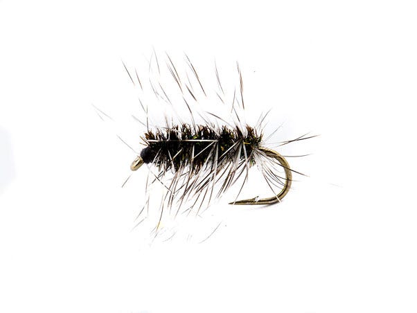 Fly Tying Video: Griffith's Gnat