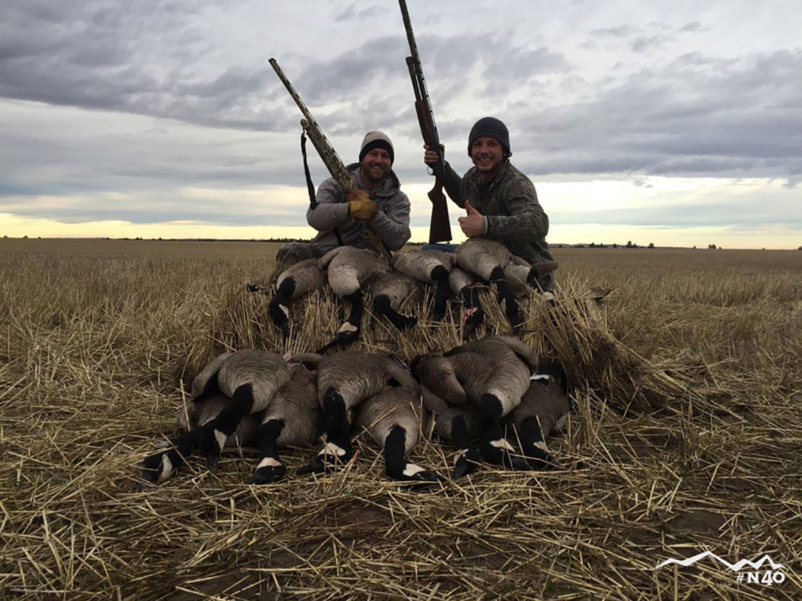 chasinggeese2