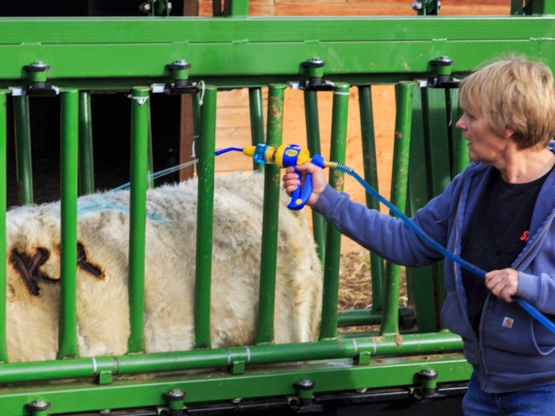 Dectomax: A Cattle Rancher's Review