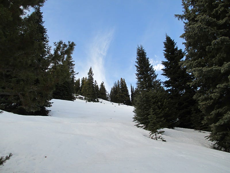 msr-mountain-safety-research-evo-snowshoes-review-6