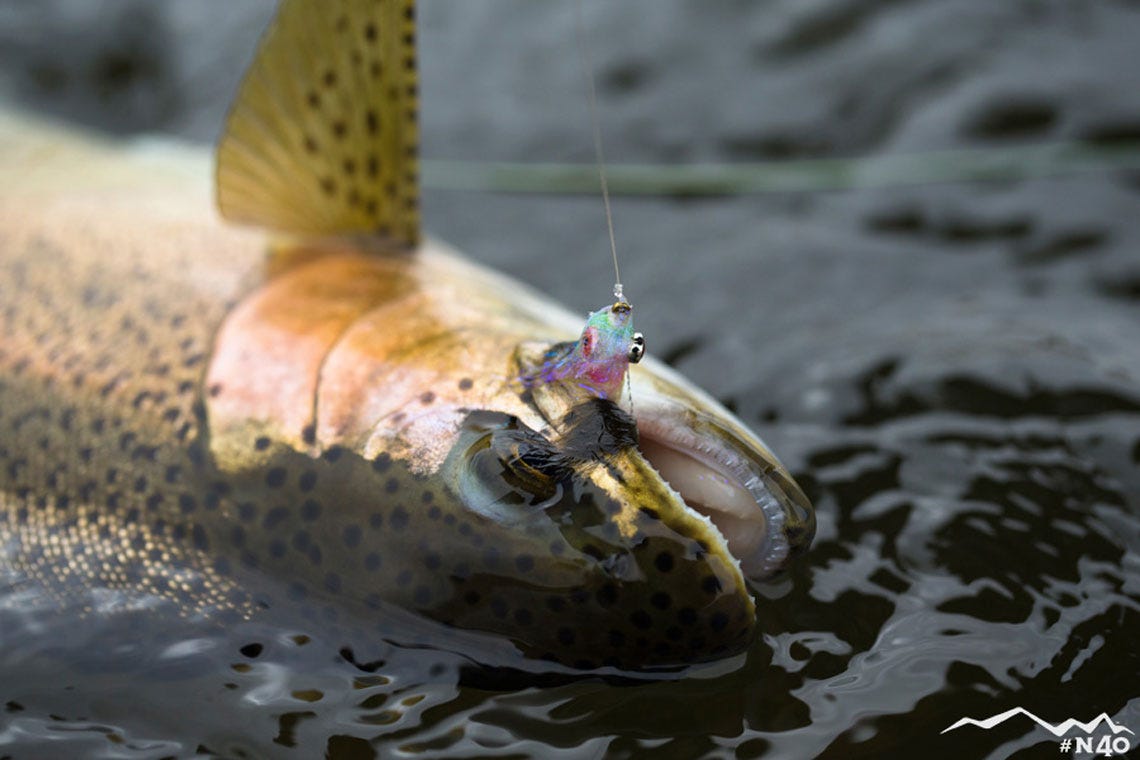 ifyourarentfishingtoday5