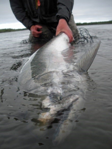 Idaho fishing regulations