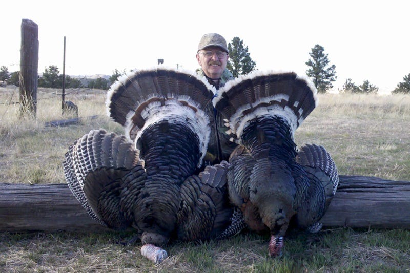 a-first-hunt-spring-turkey-story-1