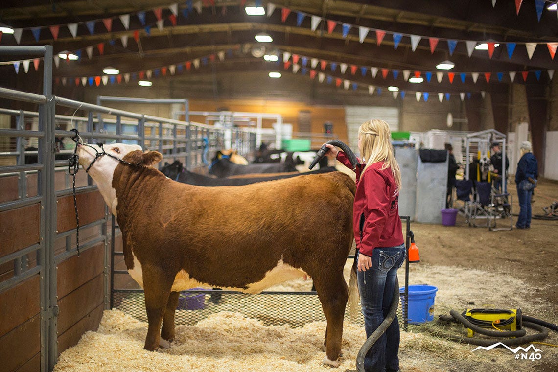 happynationalagday4