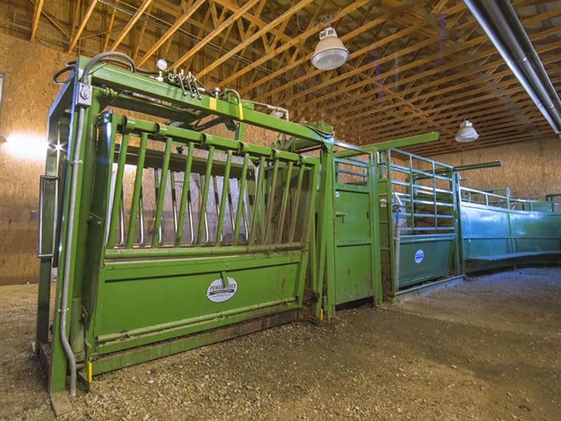 Powder River Ranch Calls: A Review