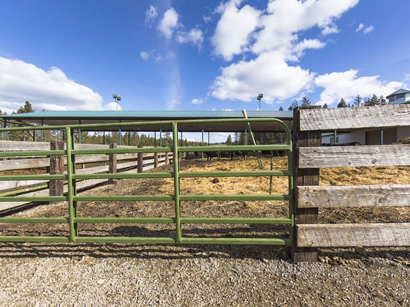 ranch-planning-with-powder-river-rancher-calls-3