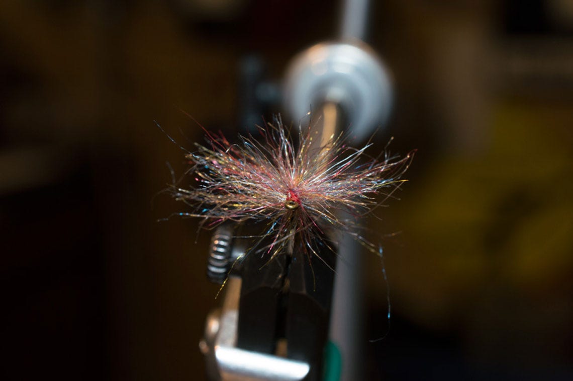 tailwatersowbug3