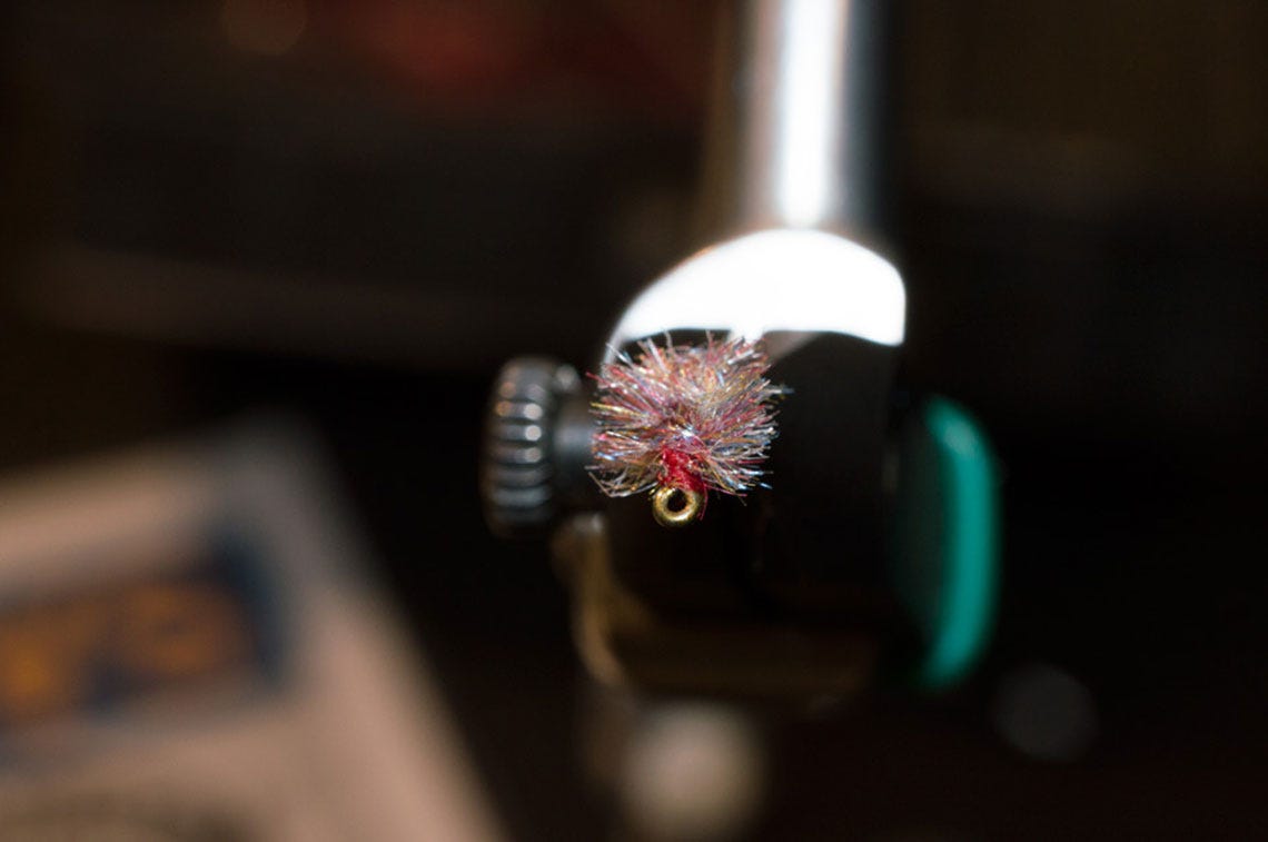 tailwatersowbug4