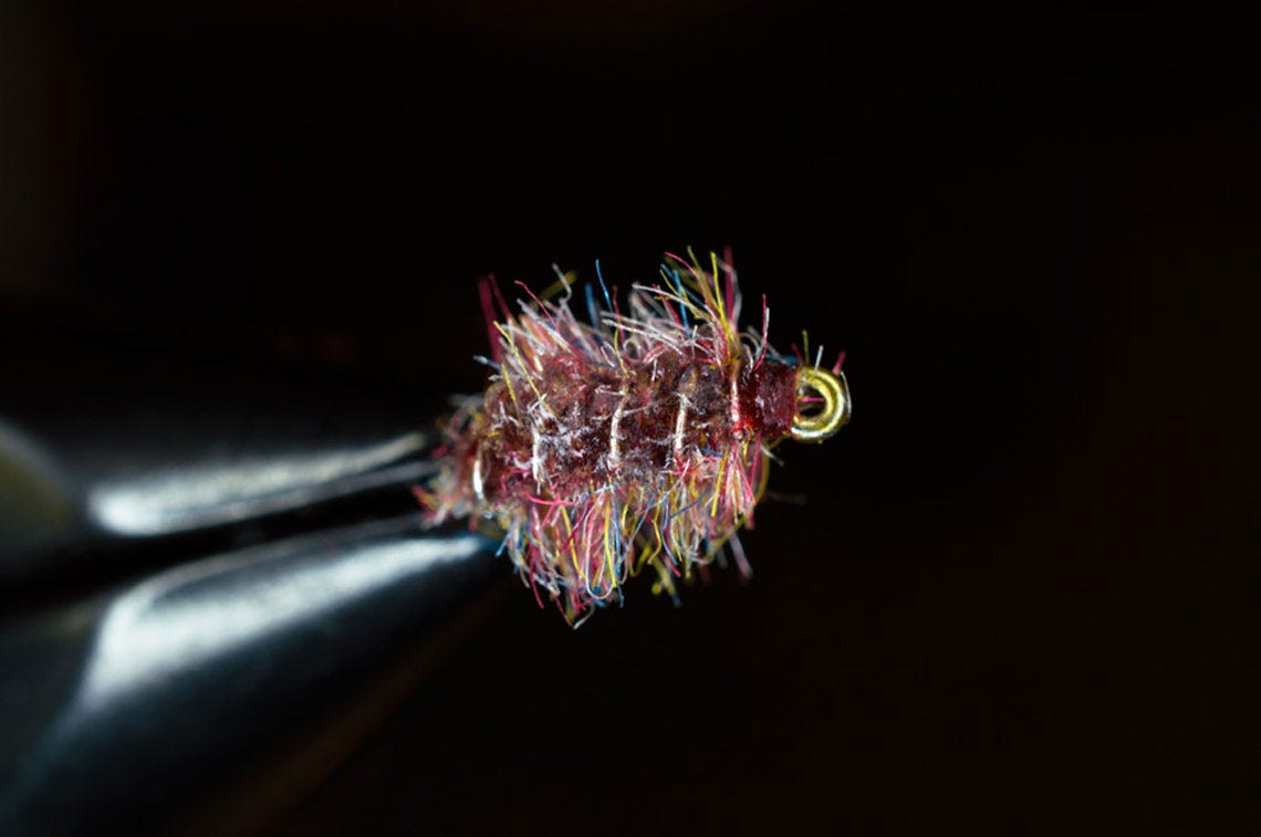 tailwatersowbug5