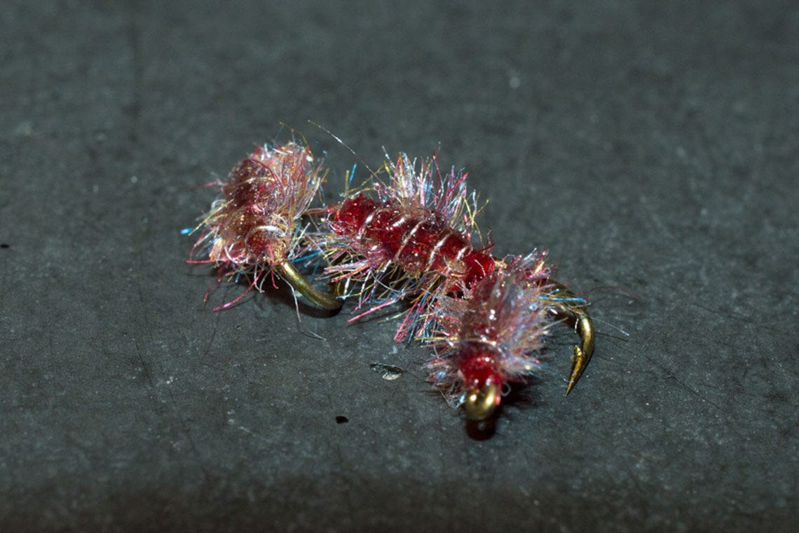 tailwatersowbug6
