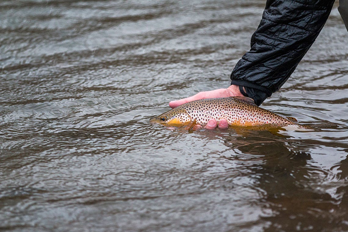 bestplacetofishinmontana1