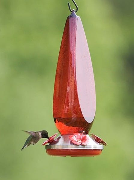 hummingbird 11