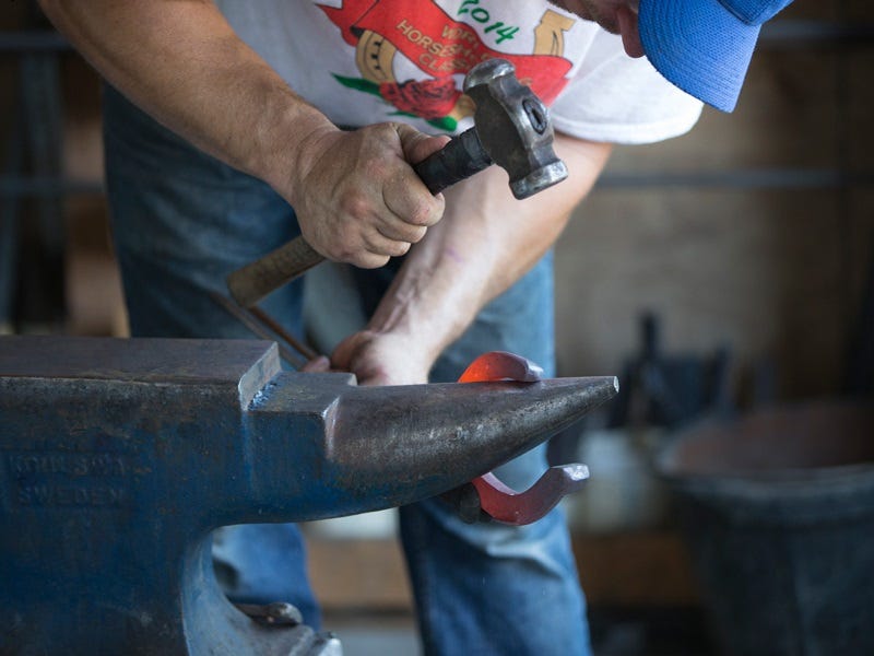 tips for healthy horse feet