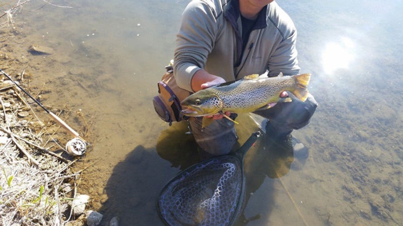 winston nexus fly rod review (2)