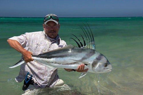 Rigidity can be important for longevity of a reel and for withstanding the strain of large fish and heavy drag settings.