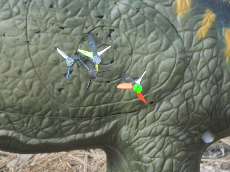 Archery shooting in Great Fall, MT. Images submitted by Rob Patton.