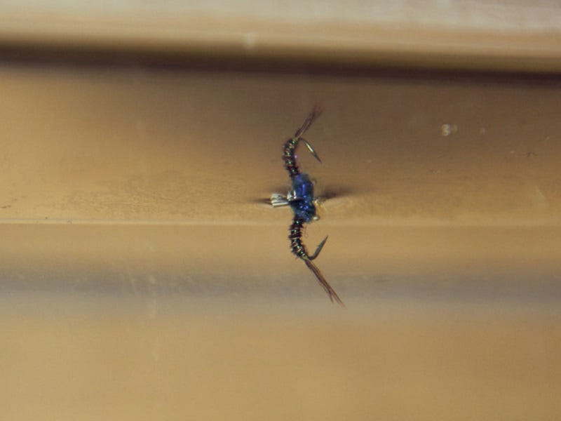 Fly Tying Challenged Baetis Variant (2)