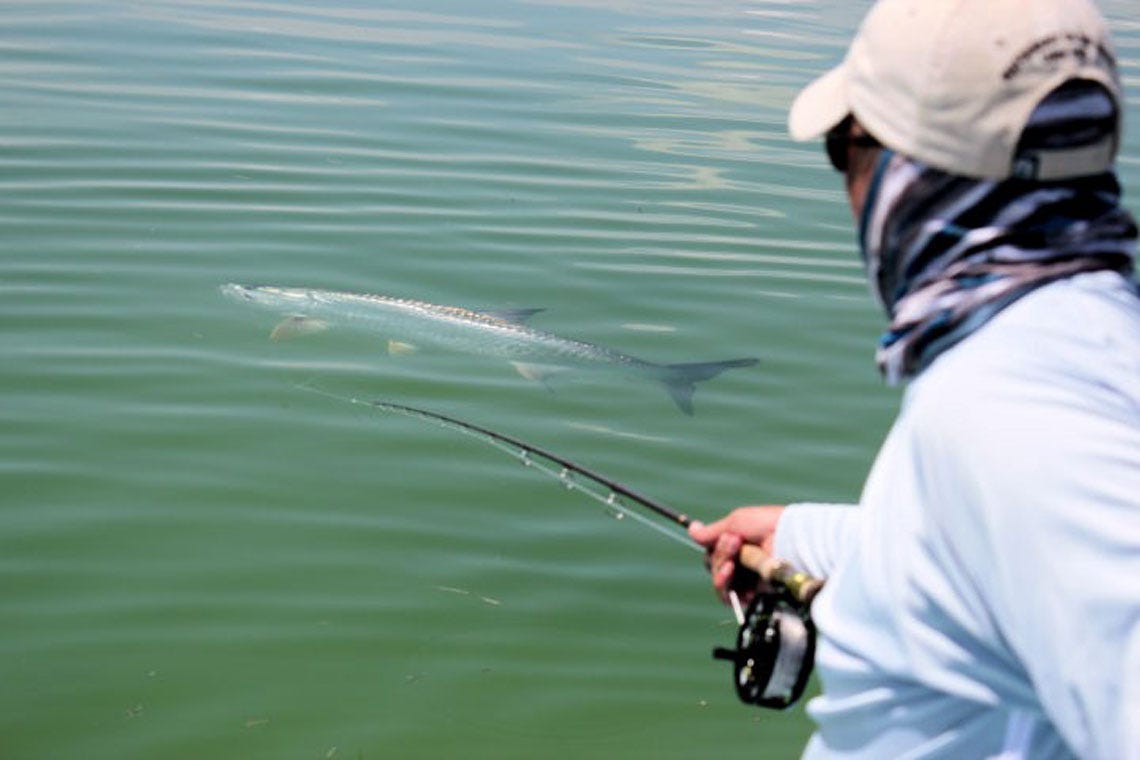 goodflyreel2