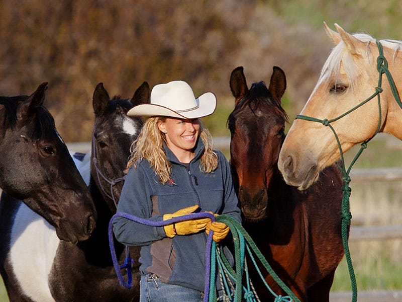 Spring Horse Tune-up: Getting back into the Saddle 101 