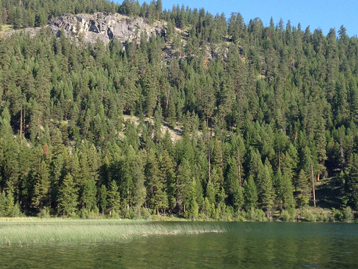 bonapartelake4