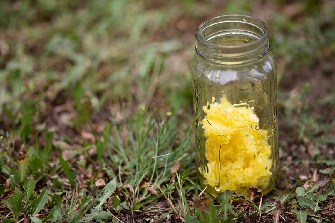 honey-bee-blog-hive-mason-jar