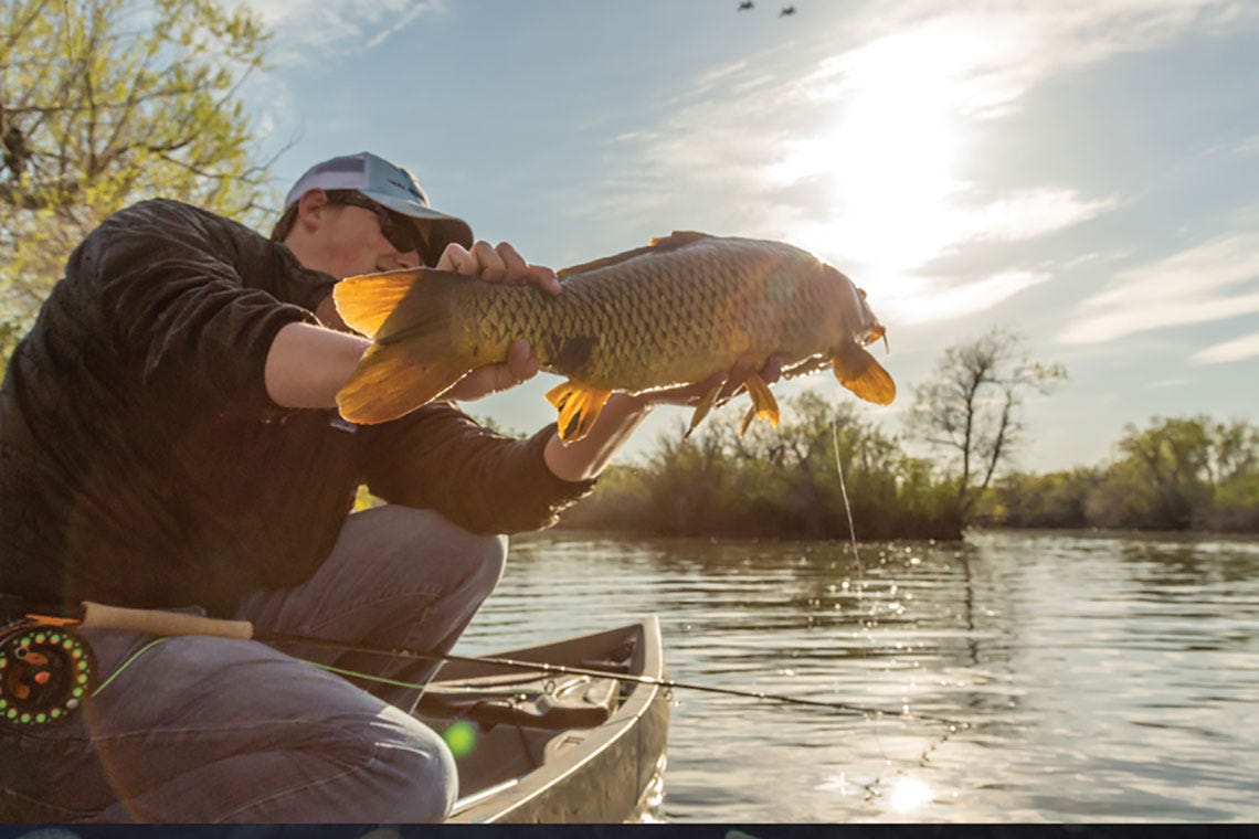 nucanoe-carp-on-the-fly