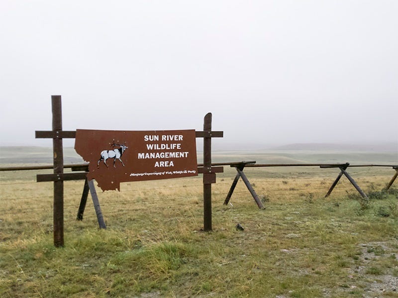 shed-hunting-sun-river-wildlife-management-area-2