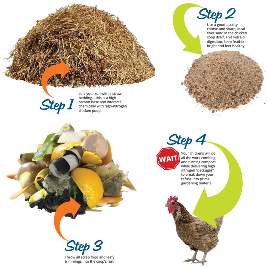 722 compost graphic for blog post