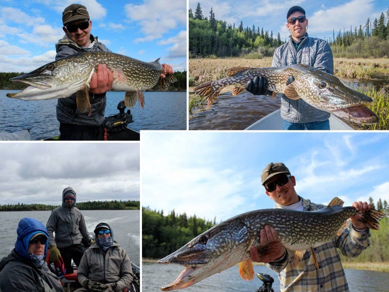 20 Hours North: Fly Fishing for Pike in Canada