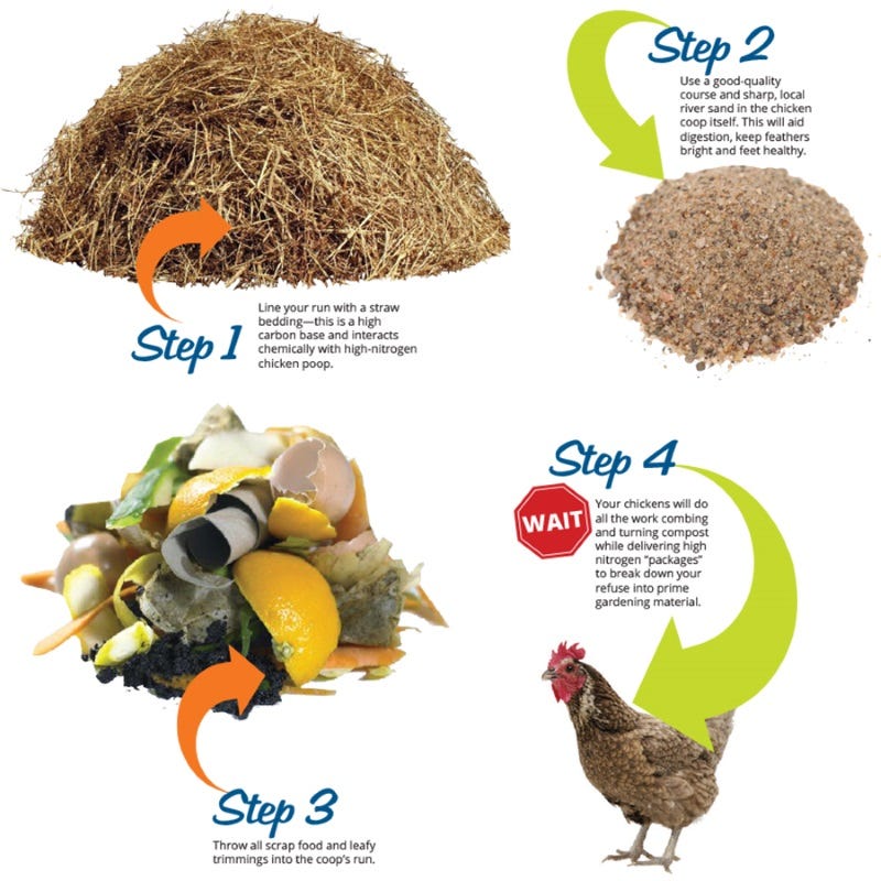 chicken-poop-composting