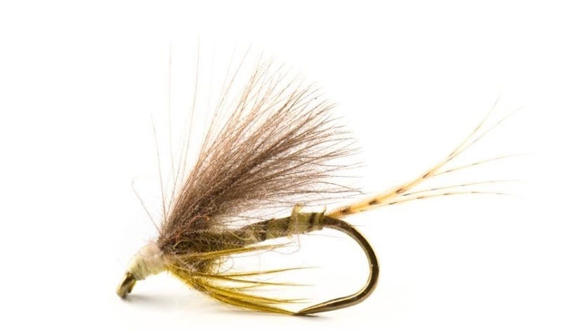 soft hackle magic fly fishing (2)