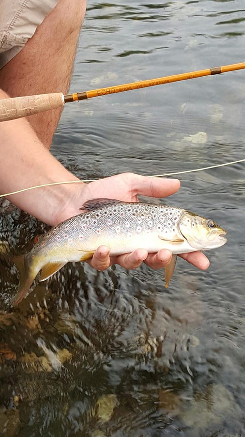 trout-fishing-with-echo-rod