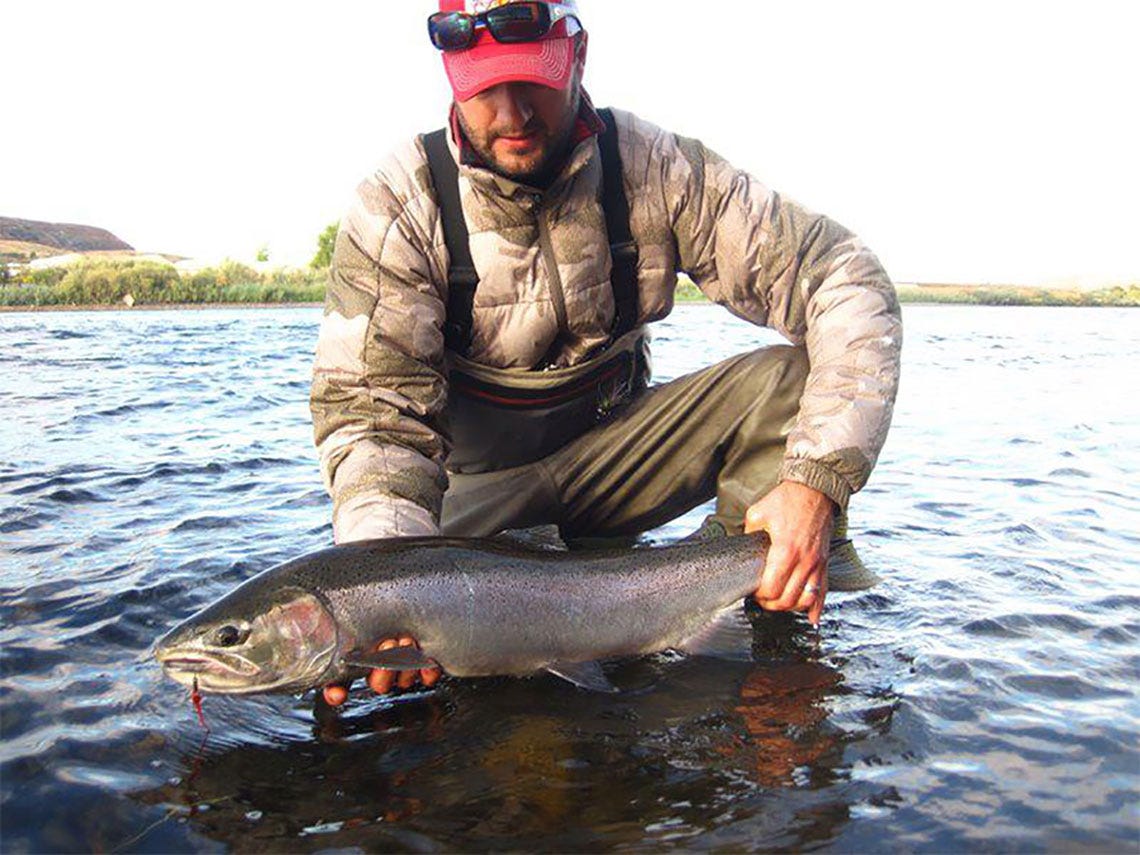 steelhead3